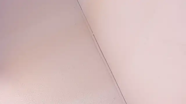 Black Rose2 online show from 03/01/26, 11:45