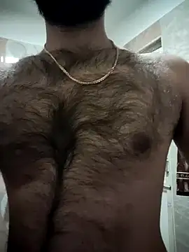 Snapshot of hairy_gun chatting on 01/28/25, 10:02 hairy gun online show from 01/28/25, 10:02