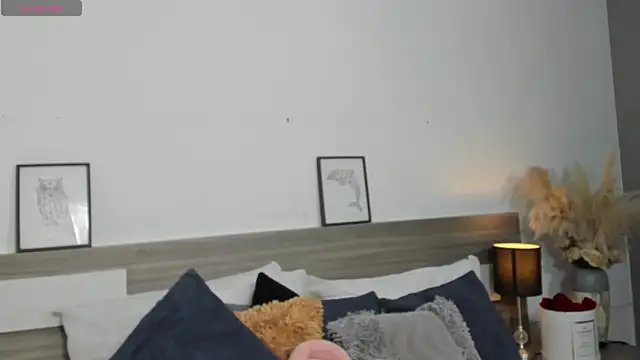 SaraaJhonsonn online show from 04/11/26, 03:05