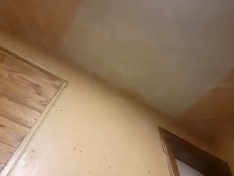 Snapshot of BigDDave6979 chatting on 03/14/25, 05:48 BigDDave6979 online show from 03/14/25, 05:48