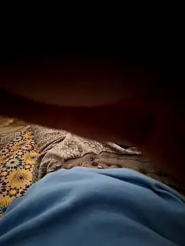 mehdi haway online show from 10/31/25, 03:02