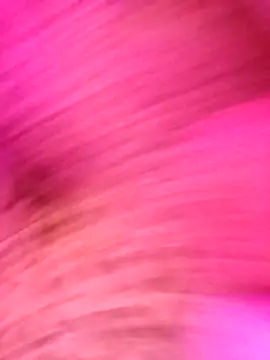 AvaChannel online show from 12/20/25, 10:55