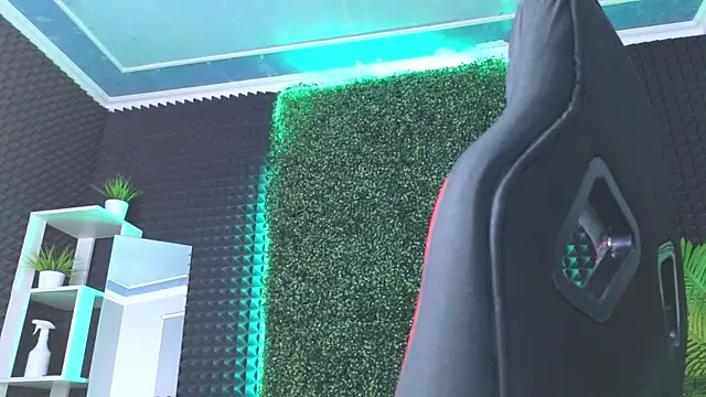 Snapshot of erikabrian chatting on 12/29/24, 09:17 erikabrian online show from 12/29/24, 09:17