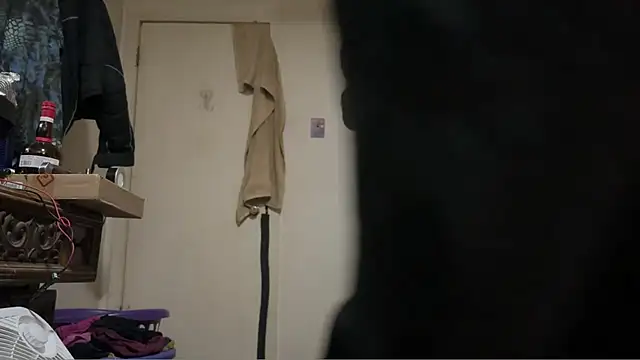 pipeload1275 online show from 03/05/26, 03:24