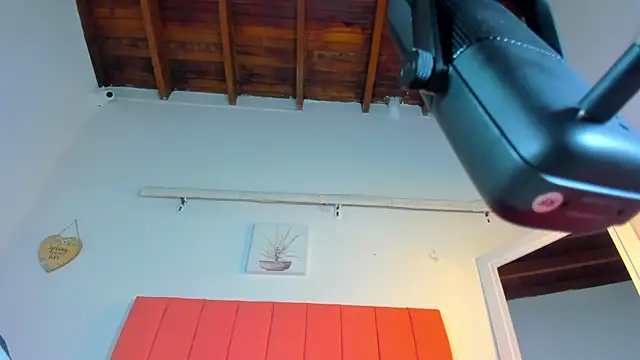 Snapshot of valen_rose0 chatting on 11/02/25, 12:07 valen rose0 online show from 11/02/25, 12:07