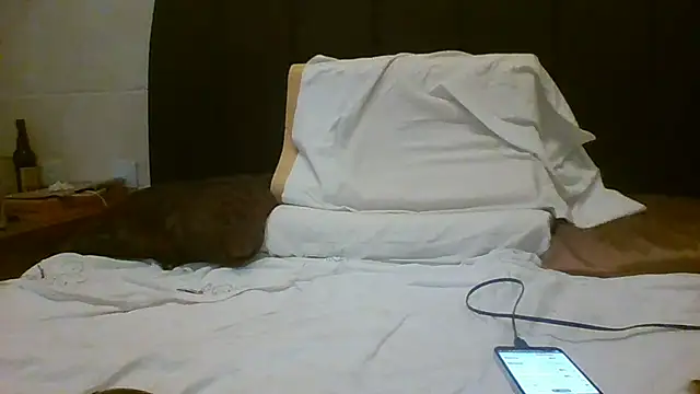 Denisilboss online show from 03/24/26, 03:50