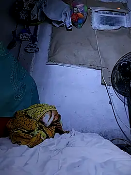 Snapshot of The-quee22 chatting on 10/11/25, 11:31 The-quee22 online show from 10/11/25, 11:31