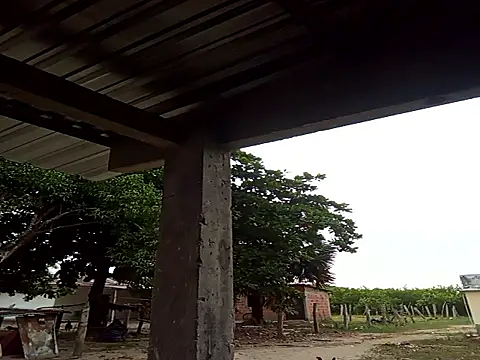 Snapshot of natally_ross21 chatting on 12/21/25, 12:01 natally ross21 online show from 12/21/25, 12:01