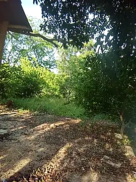 Snapshot of natally_ross21 chatting on 02/05/26, 12:43 natally ross21 online show from 02/05/26, 12:43