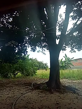 Snapshot of natally_ross21 chatting on 02/09/26, 01:26 natally ross21 online show from 02/09/26, 01:26