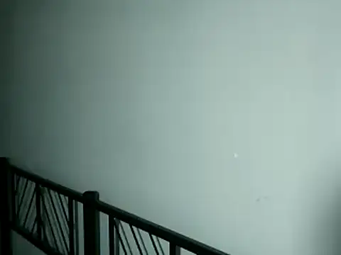 100Tauros online show from 11/13/25, 10:30