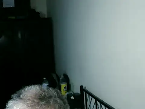 100Tauros online show from 03/08/26, 08:51