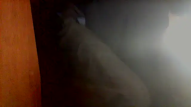 nice6incs online show from 11/05/25, 11:05