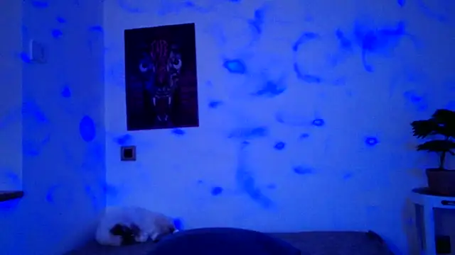 ValeryCrowley14 online show from 01/15/26, 09:03