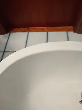 Snapshot of Durovoglioso2 chatting on 03/15/26, 07:14 Durovoglioso2 online show from 03/15/26, 07:14