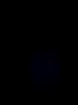 StaciGoodman online show from 12/29/24, 03:11