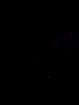 StaciGoodman online show from 02/01/25, 01:44