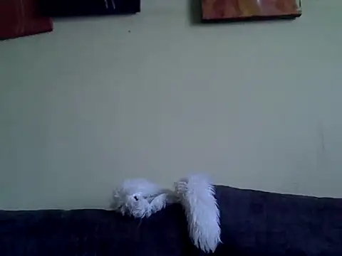 Delicious-D online show from 02/10/26, 04:49