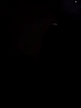 Camille jhonson online show from 03/01/26, 08:27