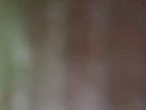 Snapshot of misu09 chatting on 02/28/25, 03:04 misu09 online show from 02/28/25, 03:04