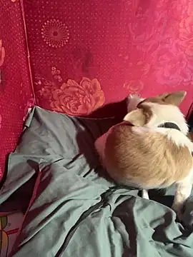 Snapshot of misu09 chatting on 11/01/25, 09:55 misu09 online show from 11/01/25, 09:55