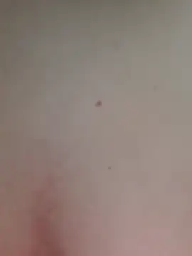 AmandaS2k online show from 06/08/26, 04:29