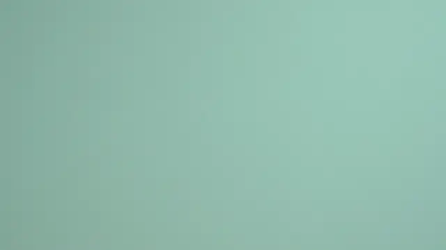 LessySmith online show from 11/21/25, 04:05