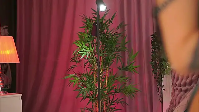 Snapshot of Evelyn_Evyyy chatting on 02/09/25, 07:19 Evelyn Evyyy online show from 02/09/25, 07:19