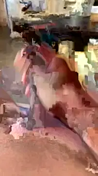 elber-gdo online show from 02/05/25, 10:55