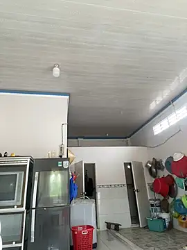 NDith online show from 03/17/25, 01:24