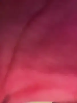 Snapshot of izanmiller2001 chatting on 10/08/25, 07:33 izanmiller2001 online show from 10/08/25, 07:33