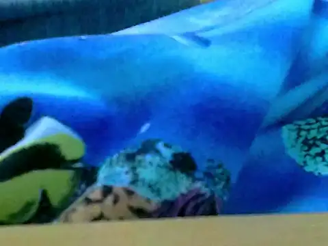 zhan7965 online show from 12/30/24, 01:03