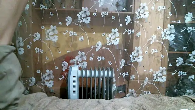 DennisXCaroll online show from 02/14/25, 06:19