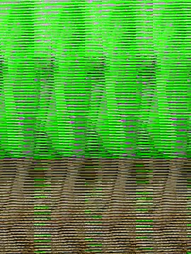 Snapshot of HimiJim chatting on 11/10/25, 11:42 HimiJim online show from 11/10/25, 11:42