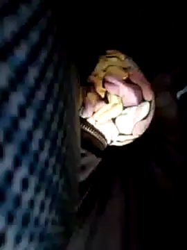 Policeman20742 online show from 02/25/25, 06:09