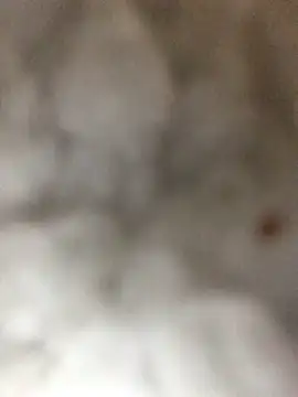 indie-rayne online show from 01/03/25, 09:05