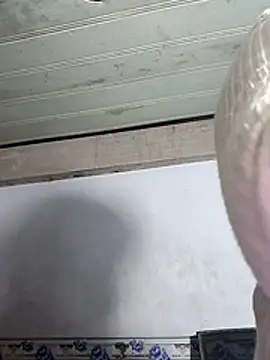 phnz online show from 03/14/26, 11:59