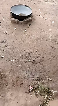 hairipussy2 online show from 02/20/25, 10:59