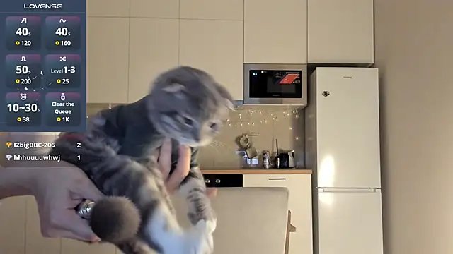 fairy di online show from 12/23/24, 12:46