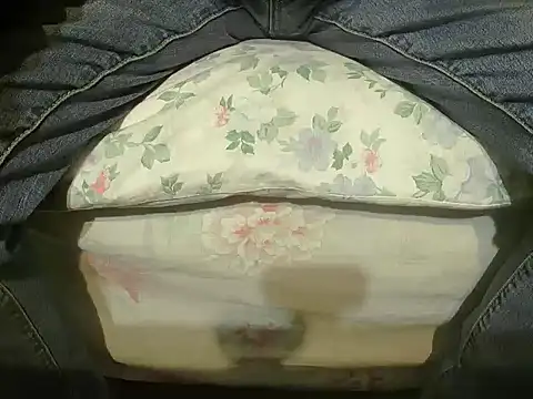 Tiger202441 online show from 12/27/24, 10:37