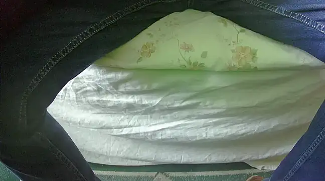 Tiger202441 online show from 02/27/25, 10:48