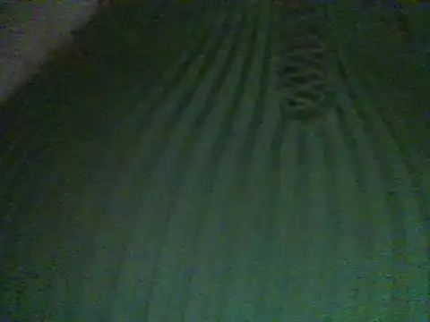 Snapshot of RoxiRedXXX chatting on 03/01/25, 02:37 RoxiRedXXX online show from 03/01/25, 02:37