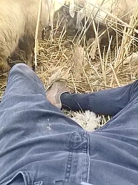 Snapshot of murokkk31 chatting on 10/29/25, 09:33 murokkk31 online show from 10/29/25, 09:33