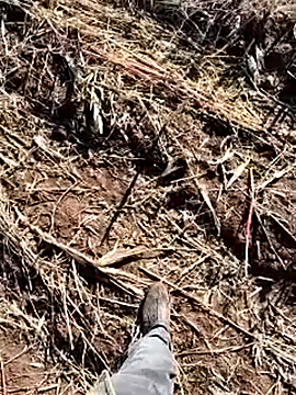 Snapshot of murokkk31 chatting on 12/14/25, 08:41 murokkk31 online show from 12/14/25, 08:41