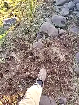 Snapshot of murokkk31 chatting on 12/16/25, 12:21 murokkk31 online show from 12/16/25, 12:21