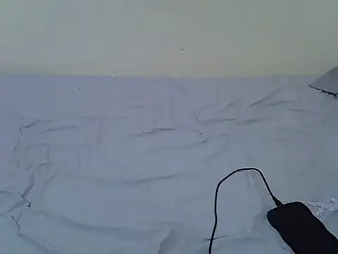 tasty piee online show from 10/25/25, 04:42