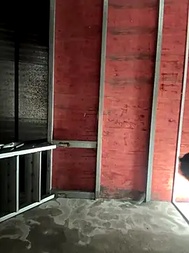 Snapshot of Hellen_111 chatting on 11/11/25, 03:12 Hellen 111 online show from 11/11/25, 03:12