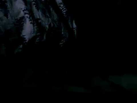 WHITEDAROSE online show from 02/19/25, 10:01