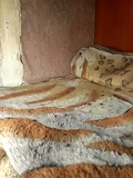 Holly Bette online show from 03/13/26, 06:36