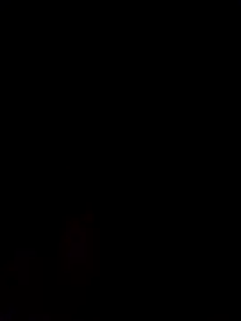 Snapshot of Alanagracia chatting on 02/14/25, 11:31 Alanagracia online show from 02/14/25, 11:31